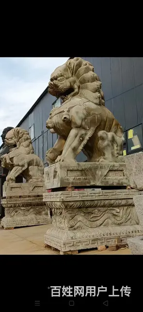 七十年代 大尺寸 青石狮子一套  雕工精细 尺寸硕 - 图片 2