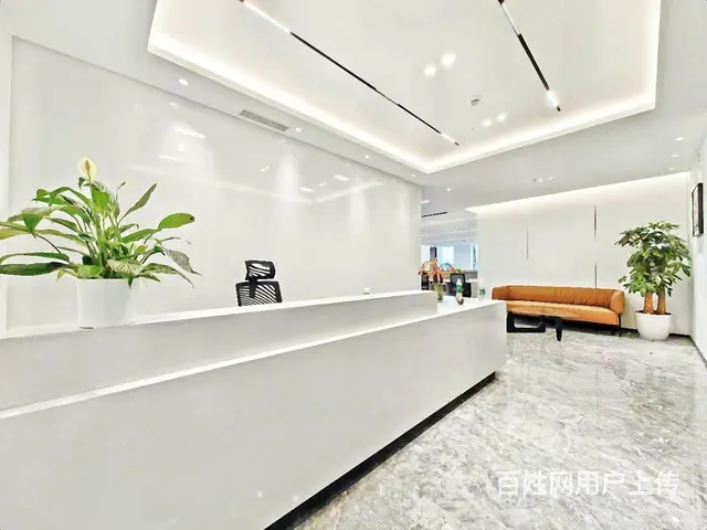 山鸟月中寒，梦醒平盛下。正大国际 豪华装修  业主急租！ - 图片 7