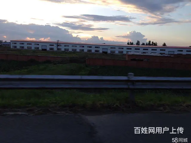 呼兰区小王岗村厂房场地出售 - 图片 5