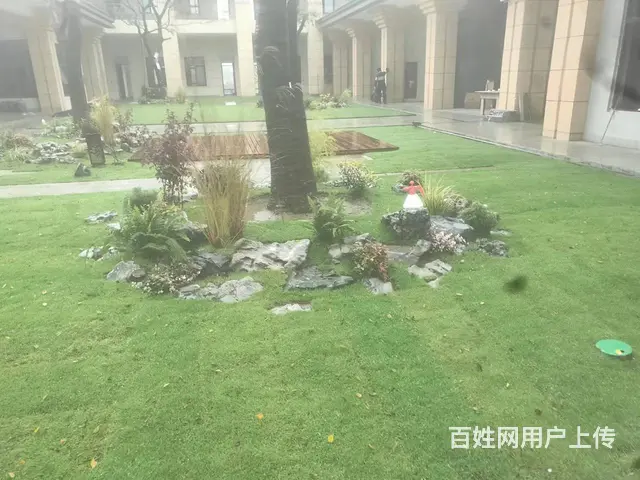 徐州锦鲤鱼池净化系统，假山太湖石假山设计安装制做 - 图片 6