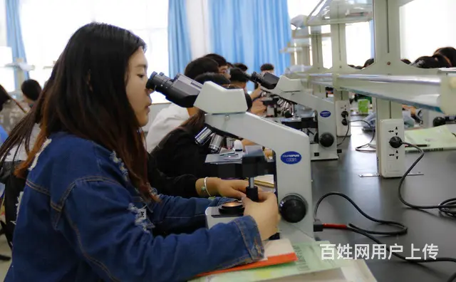 滨州卫生学校招生分数线 - 图片 2