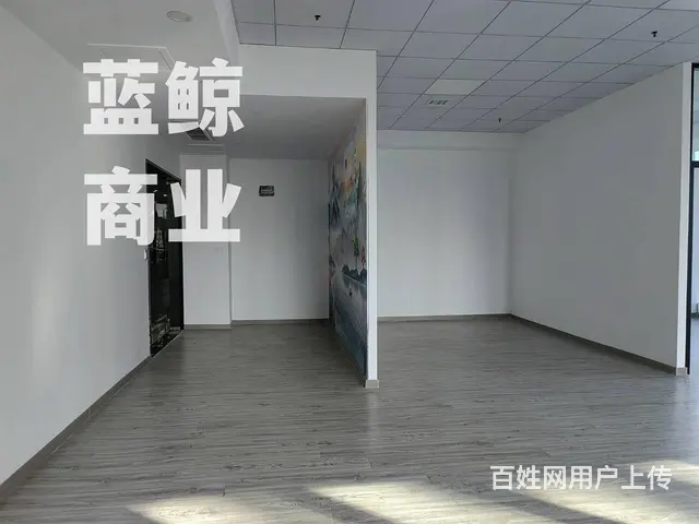 绿地商务城130平纯办公写字楼欢迎看房 - 图片 6