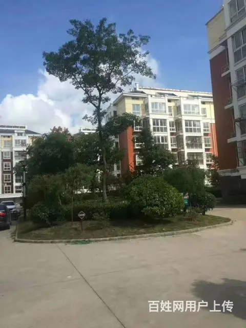 江苏盐城大丰住宅/首付2万/首付2万/首付2万 - 图片 4