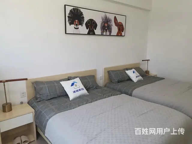 建融家园安歆青年社区 双人间 拎包入住 精装修 - 图片 2