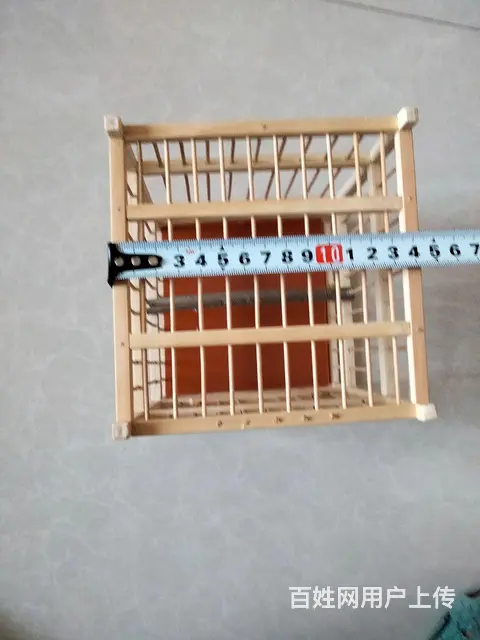 鸟笼 - 图片 3