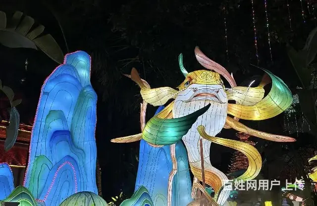 景区花灯灯会灯展制作厂家 - 图片 4