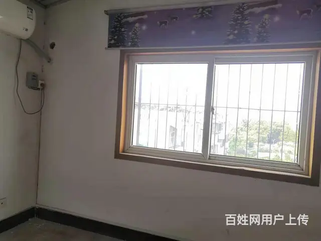 实验学校旁祥颐园7室370元月180平 - 图片 6