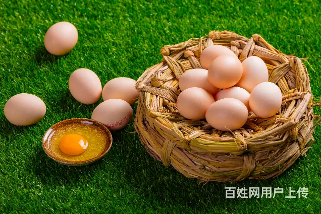 点击打开原图