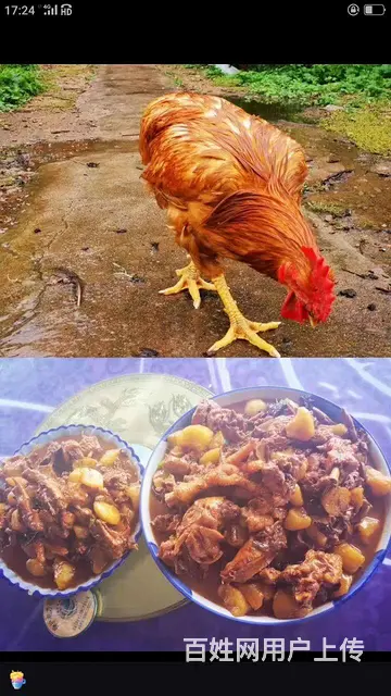 老边沟农家院哪家好 - 图片 4