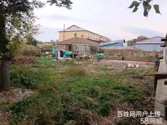 道里机场路二手车市场蒋化屯厂房出售 - 图片 8