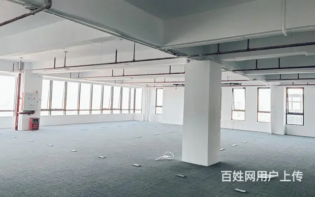 珠海白蕉框架独栋厂房 产业园直租 农业水电节省成本 - 图片 8