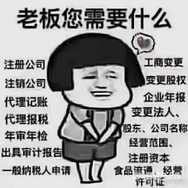 宿州，砀山，泗县0元注册公司电话，代理记账执照变更 - 图片 9