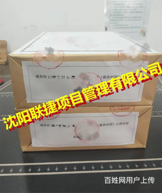 标书编制，文稿设计，排版，制作，审核。 - 图片 5