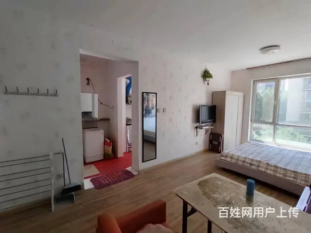地铁房爱丽香舍(铁西) 普通住宅1厅 精装修 - 图片 6