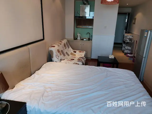 个人精装公寓出租 - 图片 6
