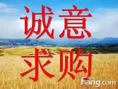 专业买卖;二手货车,平板车；箱车；能过户,价高
