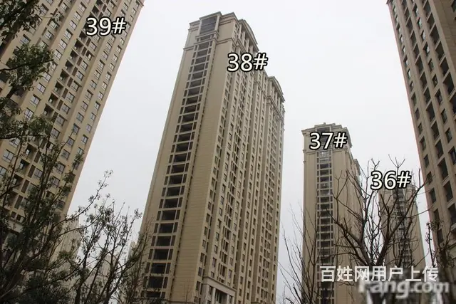 博小+北郊！金新鼎邦3室2厅豪装双卧朝南北通透满5 - 图片 9