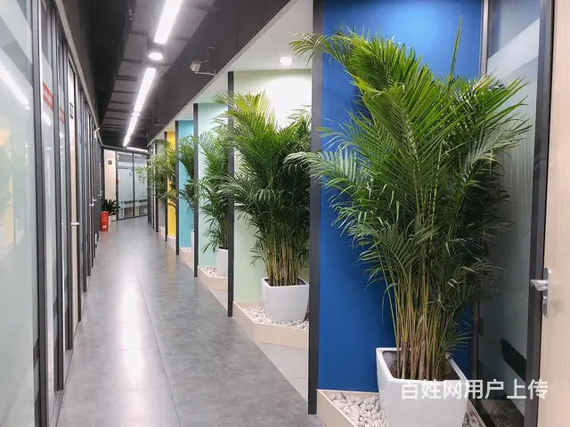 芙蓉广场靠窗小套间，可容纳14人员工，配套齐全，拎包即可办公 - 图片 9