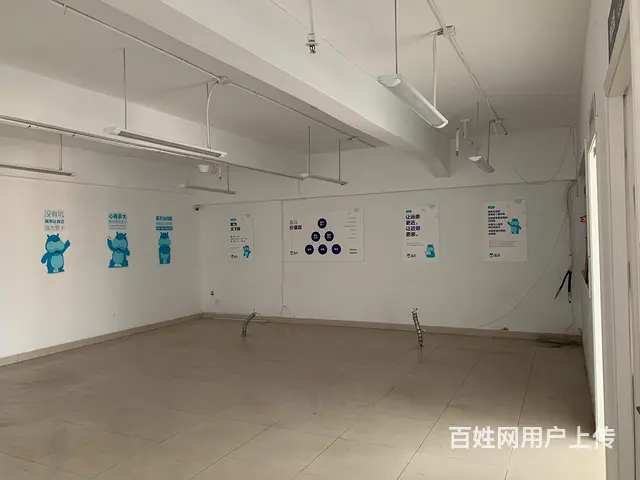 （高层）实用240平，户型方正，开间； - 图片 9