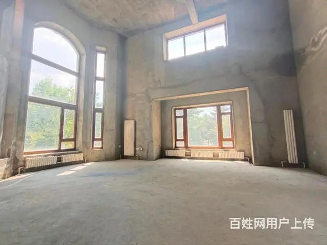 多套盛和天下300大院双拼墅三面采光700米双车库 - 图片 1