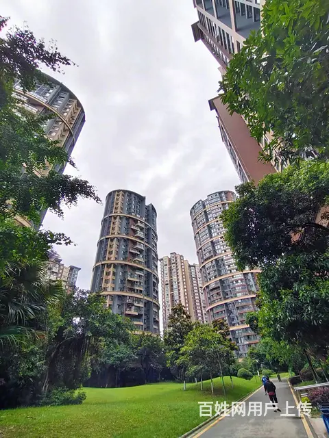 XSY）郫筒小区内多年老超市加菜鸟转让（有烟草证） - 图片 5
