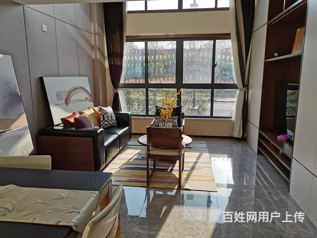 捡漏价渠道滁州公寓星荟城轻轨站复式双层通燃气 - 图片 1