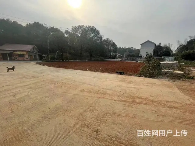 A（个人）岳麓区浦旺路3亩空坪出租编号9080 - 图片 3