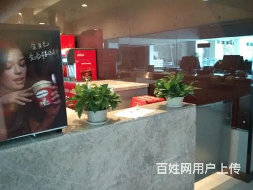 淄博花卉租凭/淄博绿植出租/淄博绿植租摆/ 园林 - 图片 2