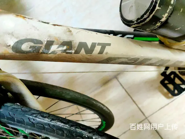 捷安特与达士奇（免充气轮胎）两辆变速自行车 - 图片 4