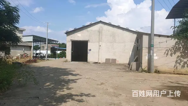 A（个人）黄兴镇独门独院520平米厂房出租编号2119 - 图片 5