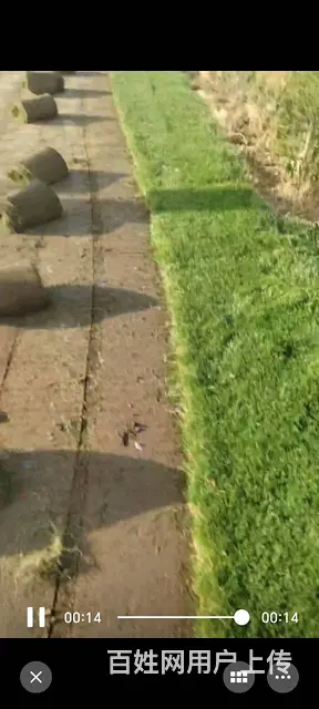洛阳孟津自产草坪浪漫宿营地烧烤 - 图片 4