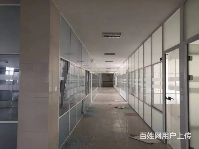 高新区3000平，可分租，适合办公小生产加工仓储类，进出方便 - 图片 5