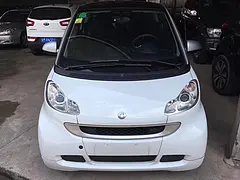 【搞定了！】Smart Fortwo(进口) 20