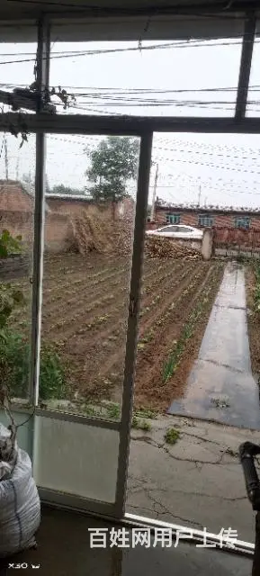 新民市东蛇山子乡大黄沟村平房出售 - 图片 2