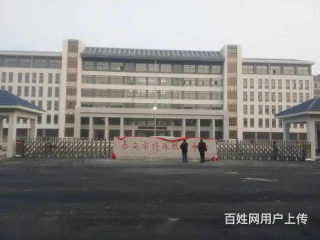 谈论泰安双兴学校自动门的重要性 - 图片 3