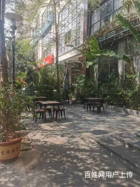 （51旺铺推荐）三亚湾碧海蓝天600平酒吧出租 - 图片 2