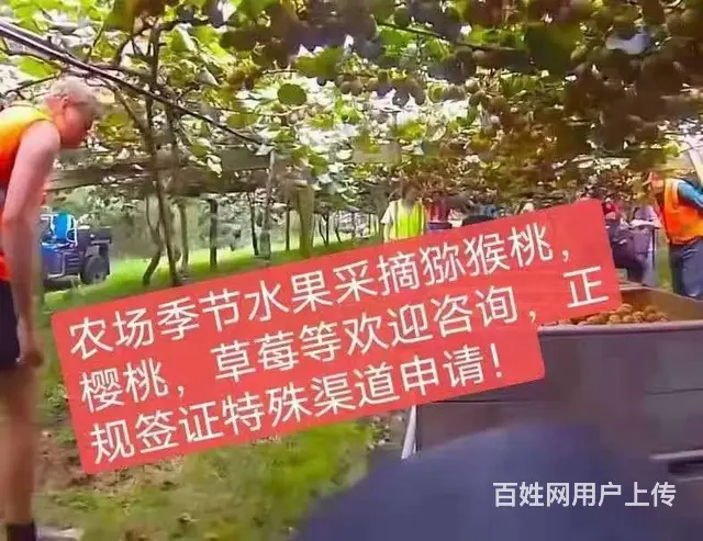 绍兴高薪急聘叉车/货车司机，月薪35000，有双休 - 图片 1