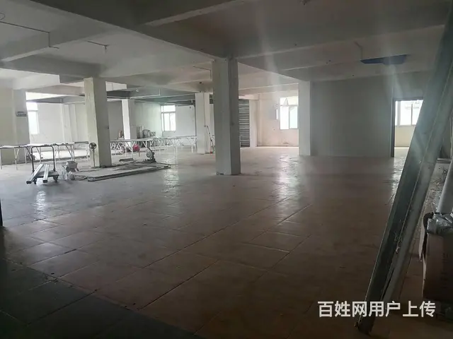 湖里枋湖标准厂房出租  数间仓库＼电商＼办公  大小可分 - 图片 5