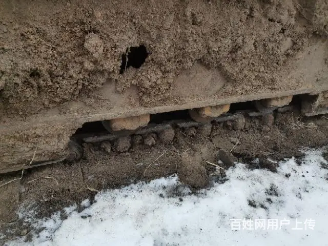 视频中 小油门 - 图片 4
