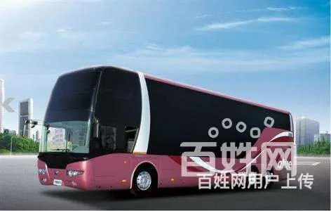 宠物运输/义乌宠物托运（宿州宠物网 - 图片 8