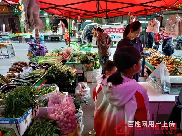（四川铺鑫网）巴州区川剧团自堂坝80平水果蔬菜店转让 - 图片 10