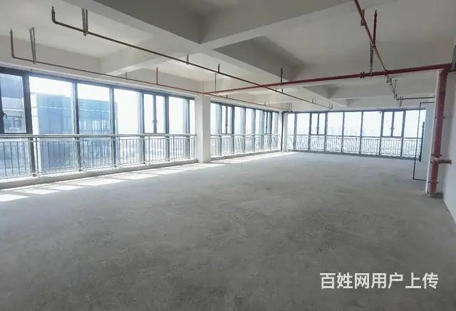 鲸丰全新写字楼出租 45平到2000平都有 纯办公 环境好 - 图片 6