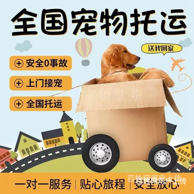 推荐） 莱城宠物托运到全国）（猫狗）邮寄快递（宠物活体运输） - 图片 3