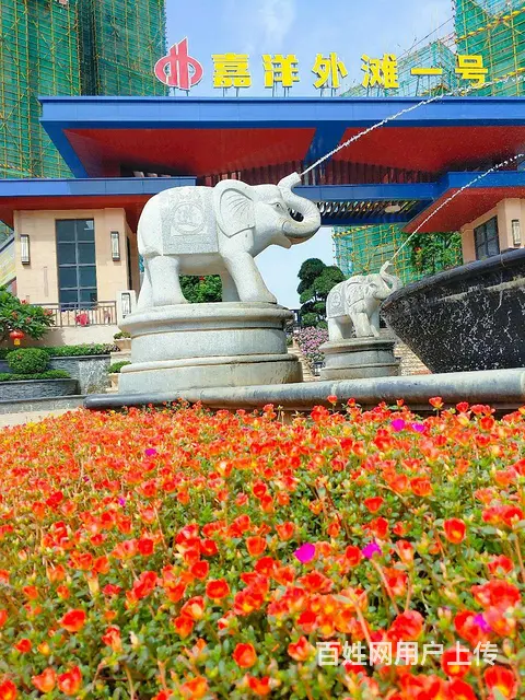 梧州江景园林花园小区 首付5万起！3房两厅两卫 - 图片 4