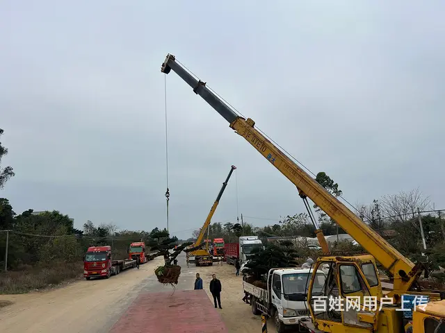 北海吊车租赁 - 图片 2