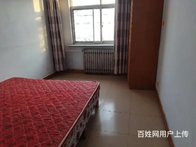 精装现房，房屋出租 - 图片 7