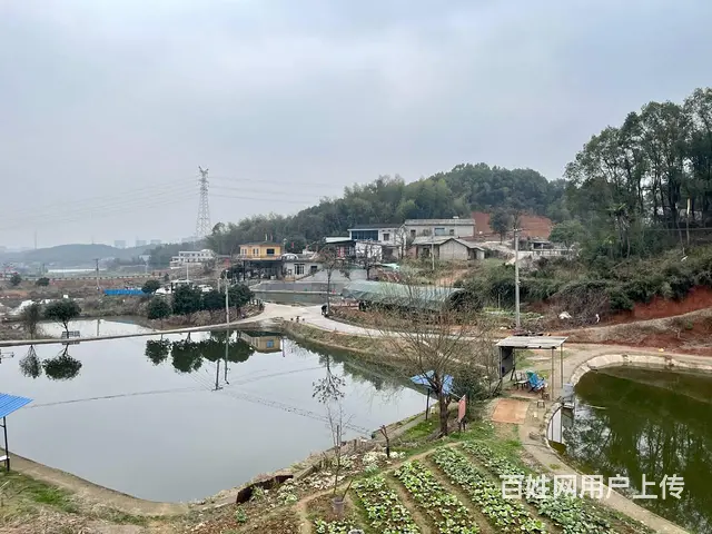 （老板本人）天心区高云村独门独院农家乐优价出租  6013 - 图片 2