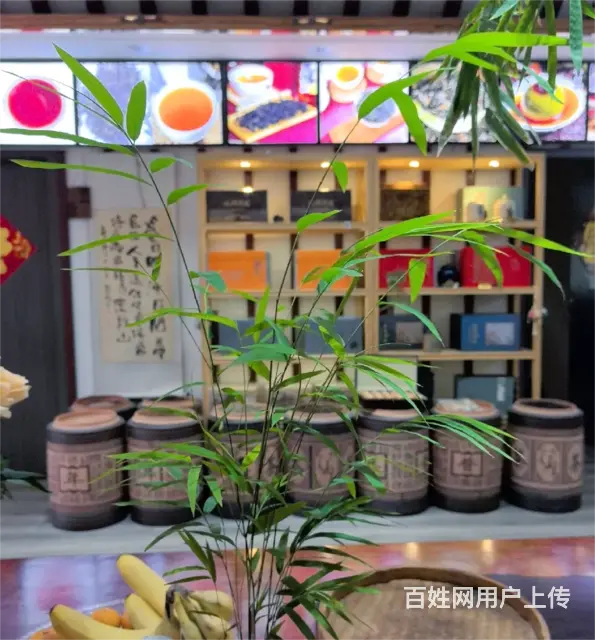 （诚速）转建业森林半岛独栋茶叶店批发零售紧邻市政单位高端小区 - 图片 6