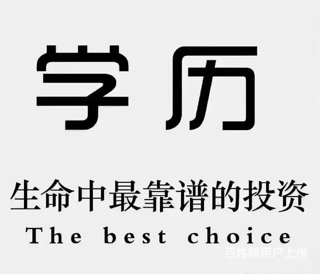 博学大专本科学历培训开始报名 - 图片