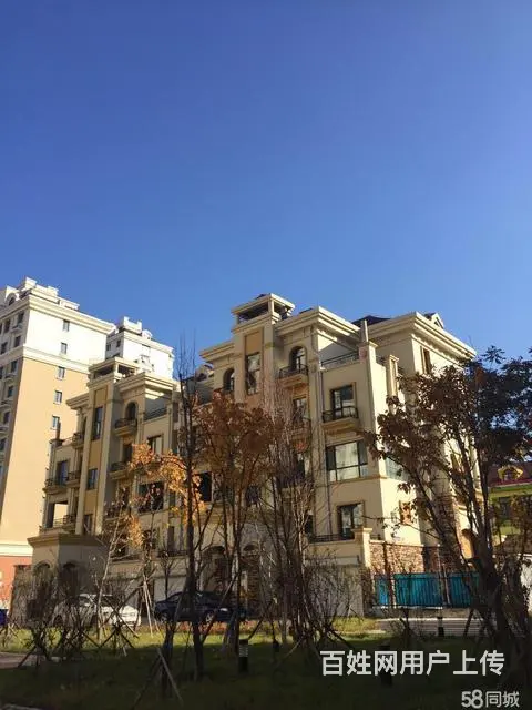 豪华叠墅【价格超低】包改底【车库直接上楼】仅此一套 - 图片 1